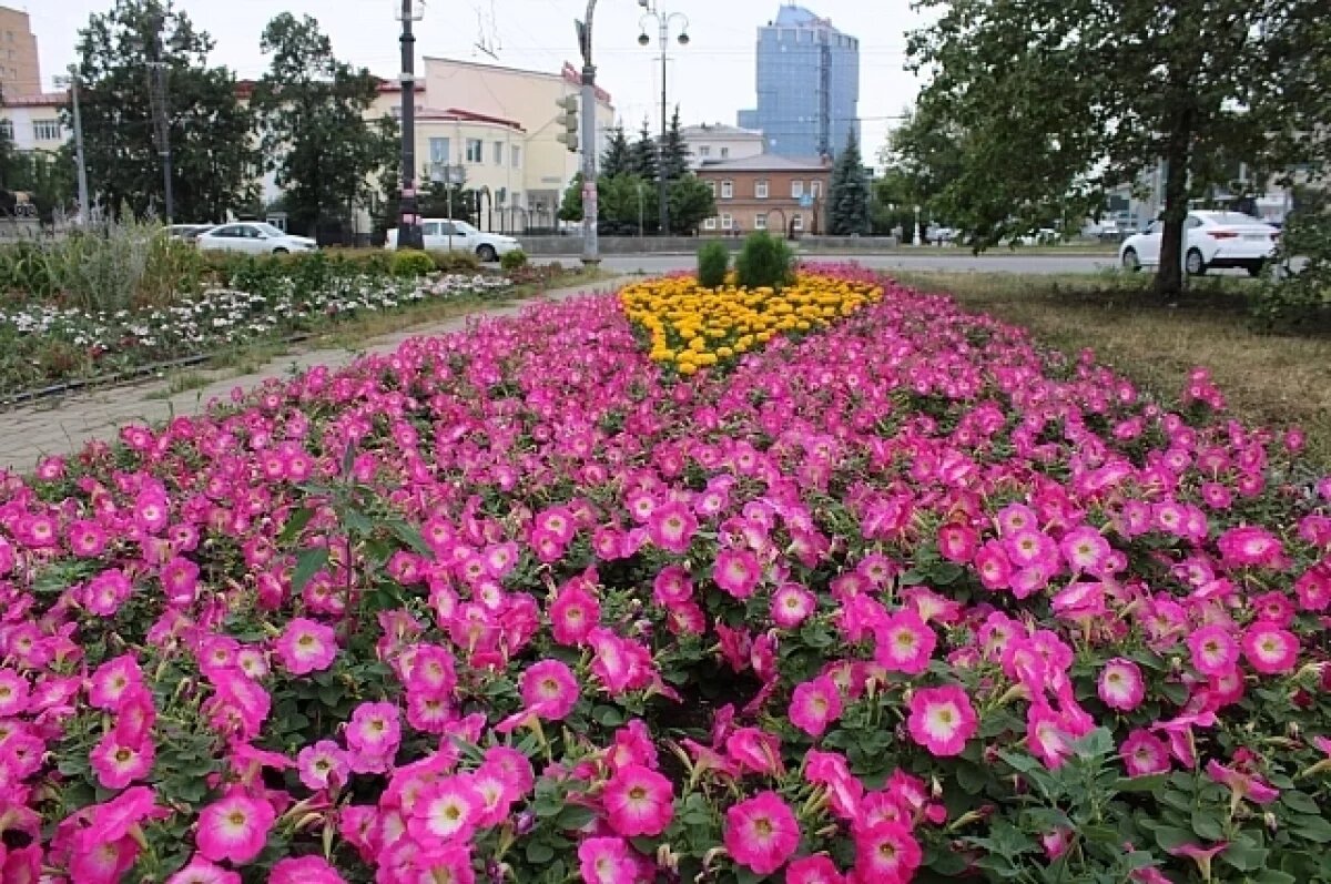    5,5 гектара цветников высадят в Екатеринбурге