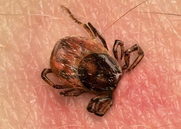 Фото: Роспотребнадзор по Республике Алтай