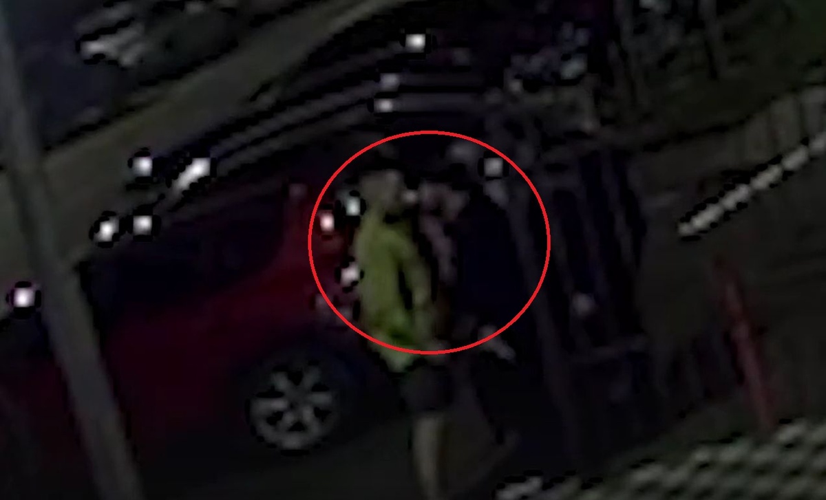 Фото: скриншот из видео.