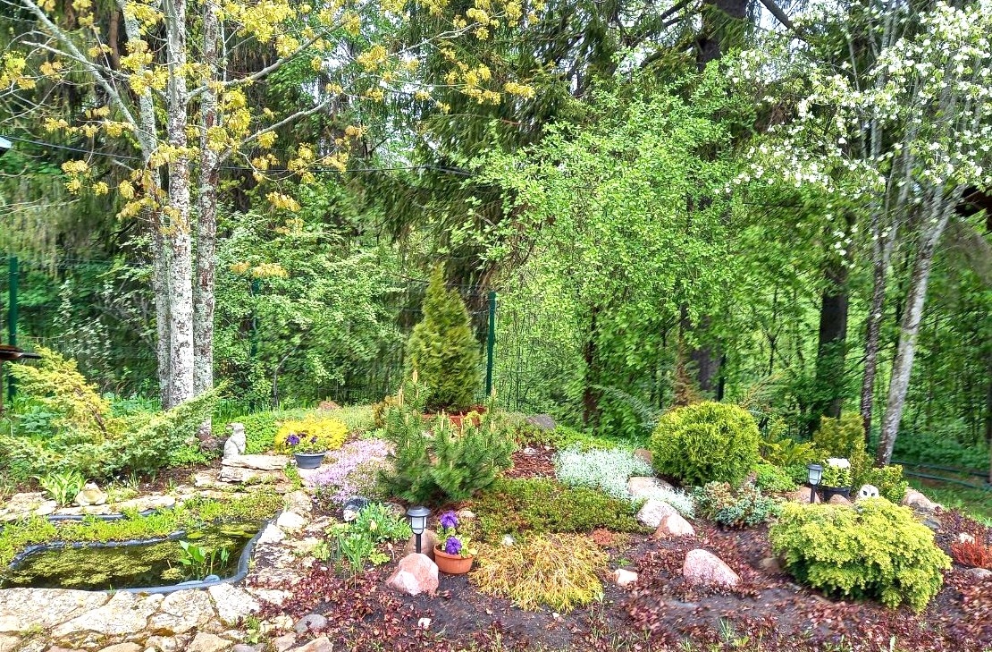 Хвойный альпинарий