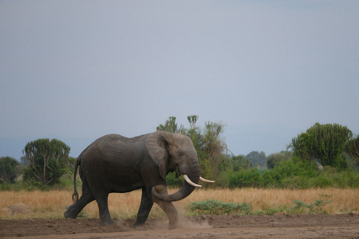 Фото с бесплатного фотостока https://unsplash.com, автор Simone Dinoia