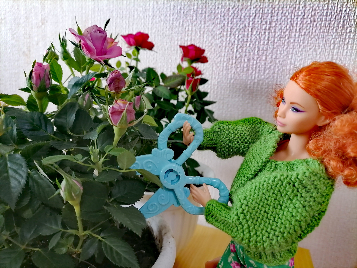 Barbie looks #11. Фото автора. 