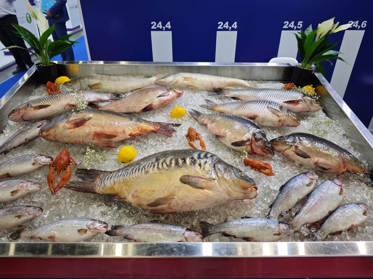 Фото ПортНьюс