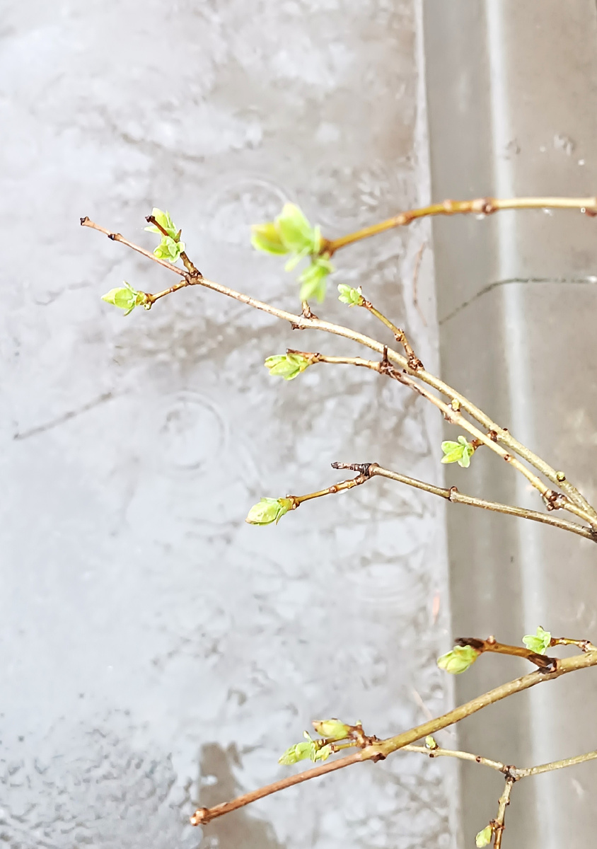 дождливый мартовский день в Волгограде