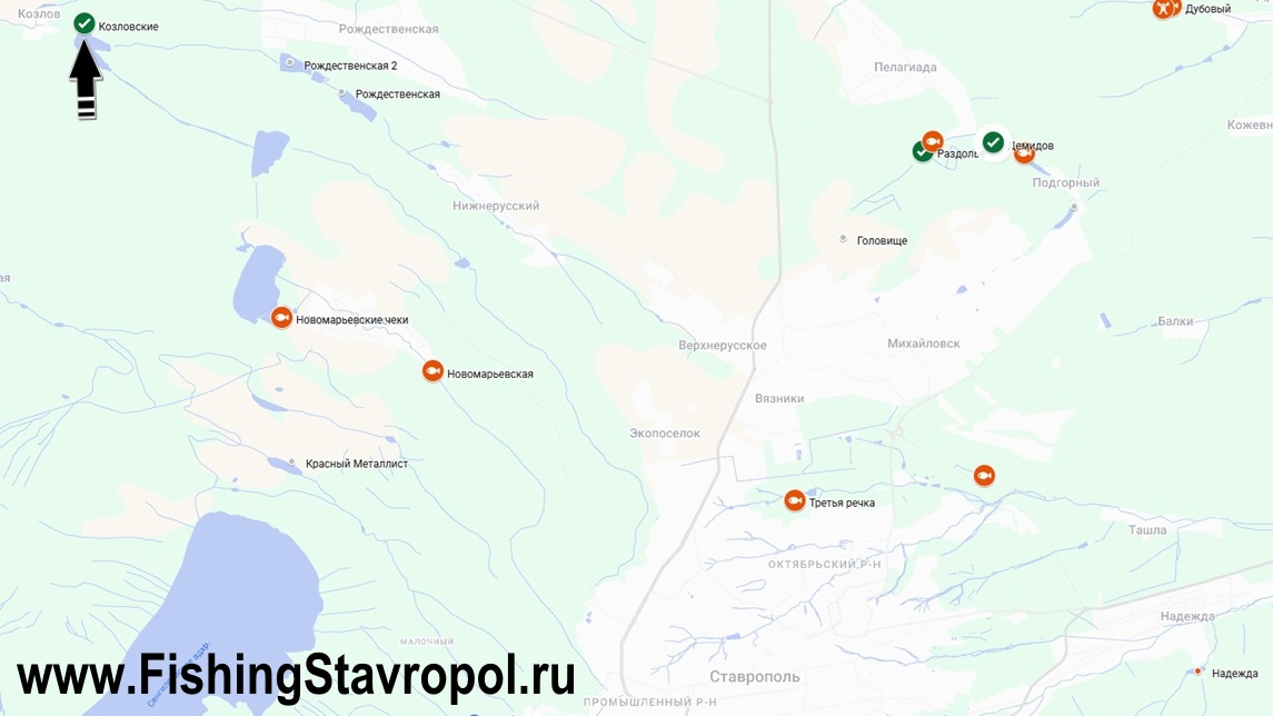 Платная рыбалка, водоем "Козловские пруды"