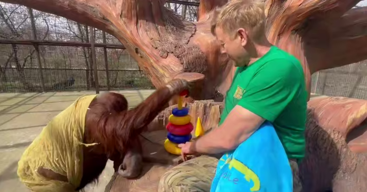 Фото: Олег Зубков/Telegram