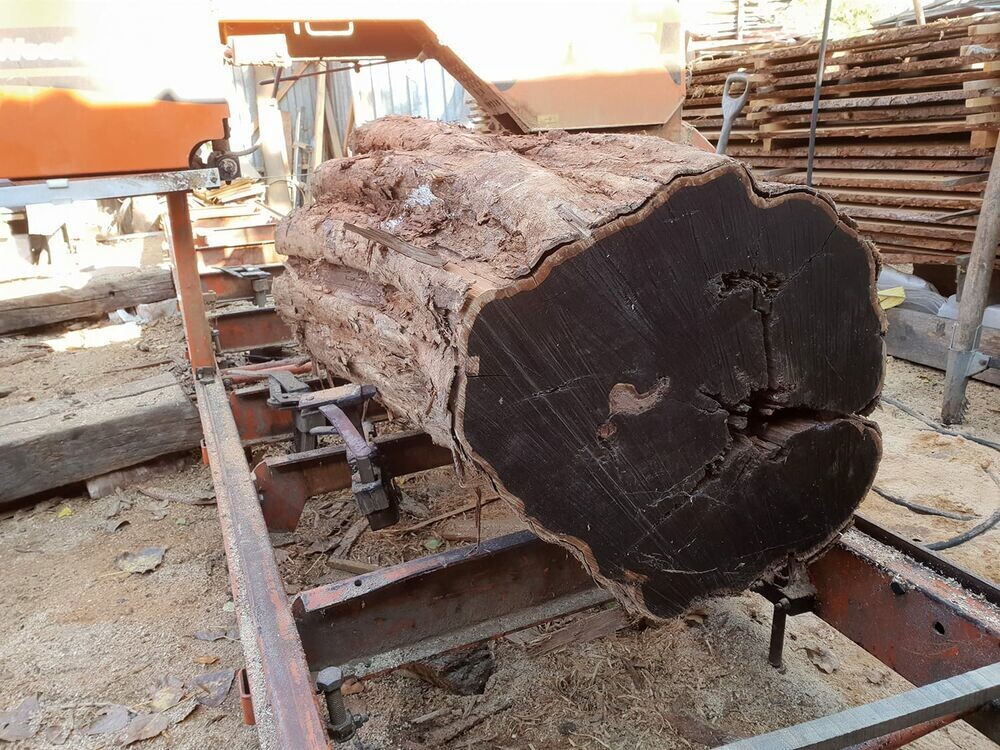 Африканское чёрное дерево. Источник фото: https://www.livemaster.ru/topic/3650822-article-samaya-dorogaya-drevesina-afrikanskoe-chernoe-derevo-grenadil