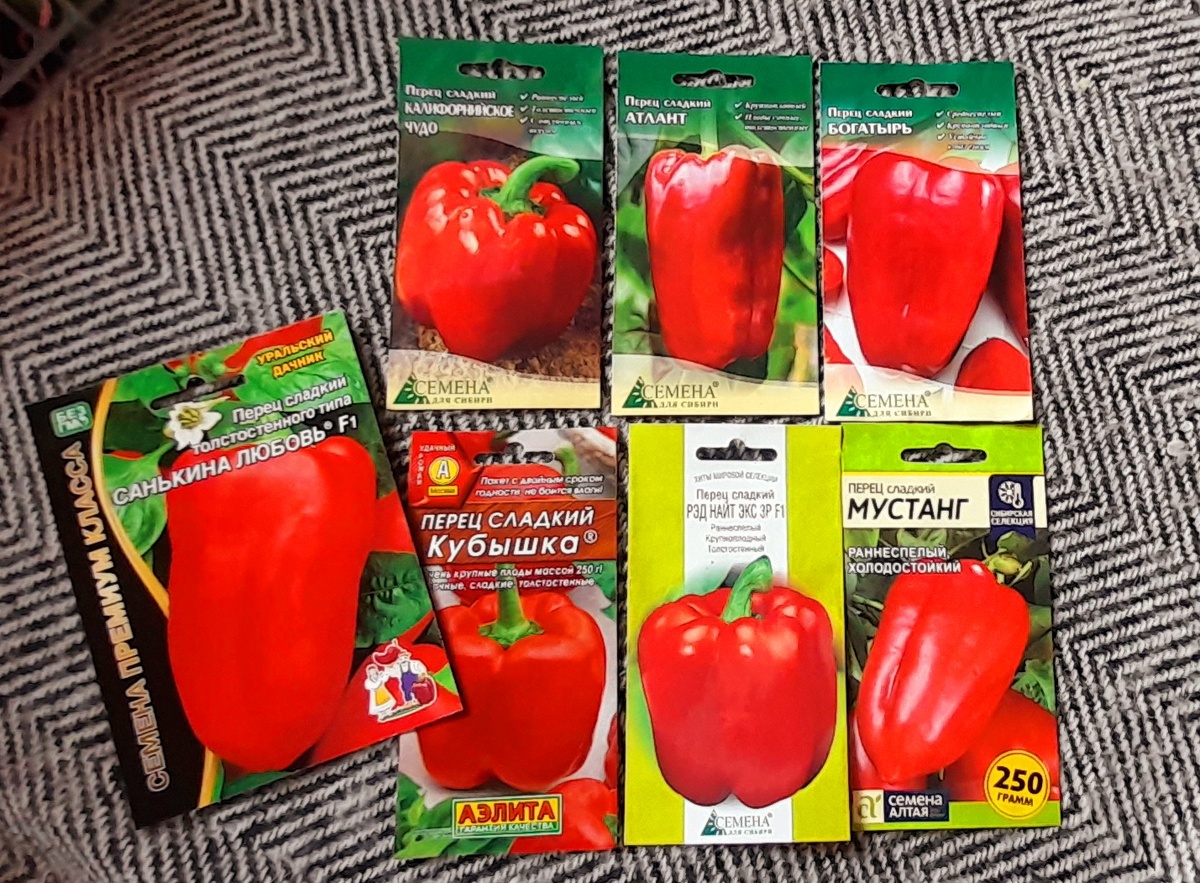 Фото Катерины Шурм