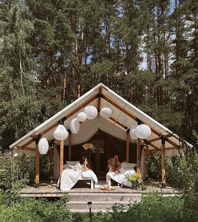 Глэмпинг Зеленая тропа / Naturalist.Travel