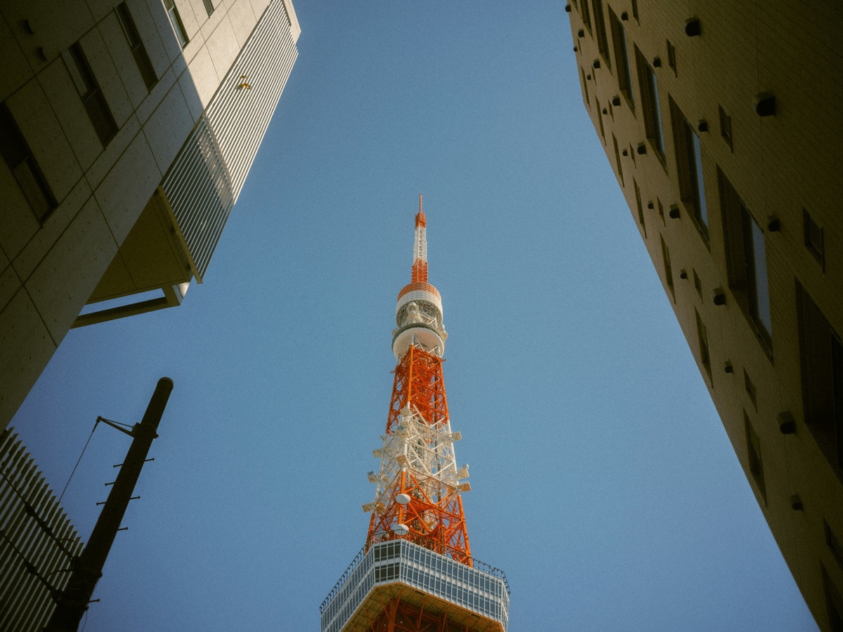 Фото с бесплатного фотостока https://unsplash.com, автор Jakob Owens