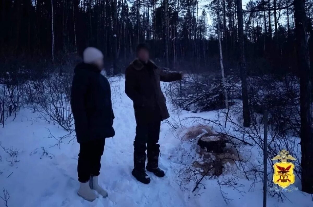    2 брата незаконно рубили лес в нацпарке «Алханай»