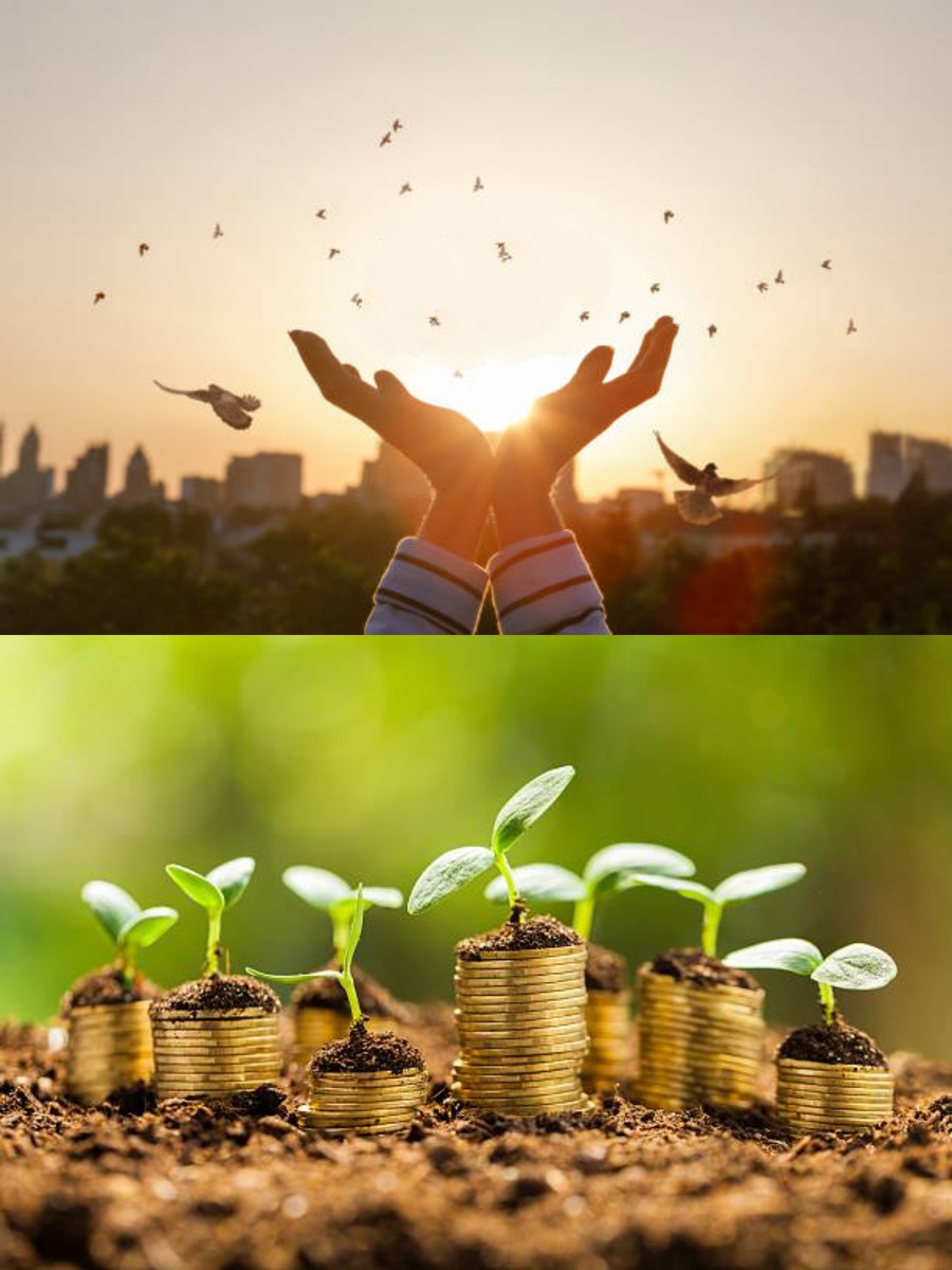 Фотоколлаж автора статьи 