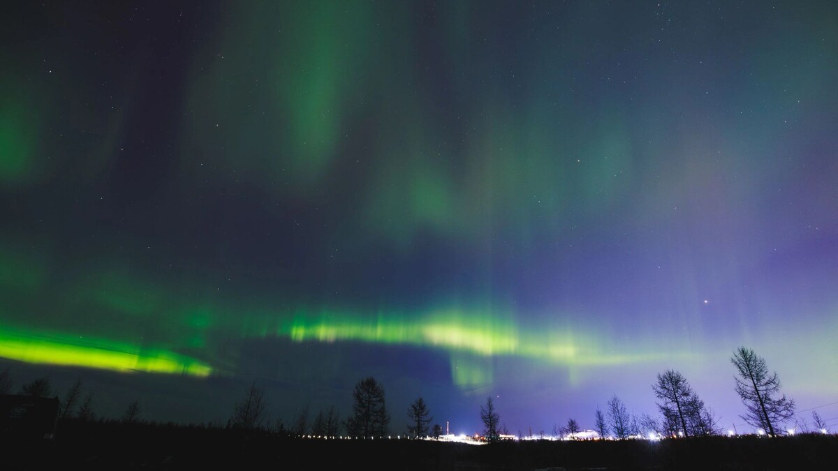    Фото: Юлия Чудинова/«Ямал-Медиа»