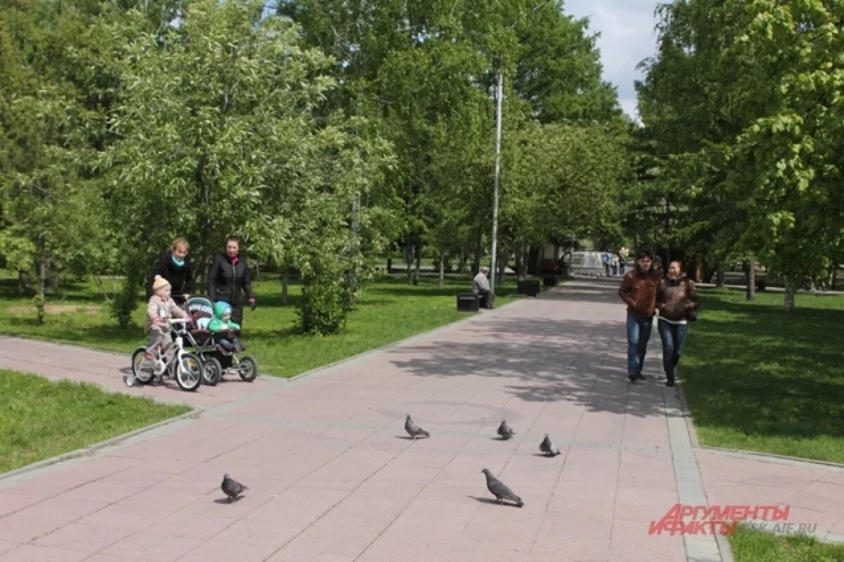    В Новосибирске собираются благоустроить более 10 территорий