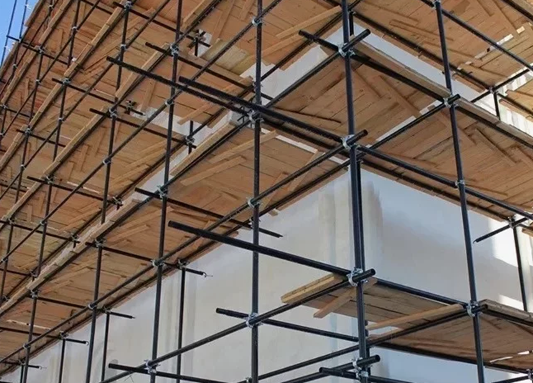 Хомутовые леса 