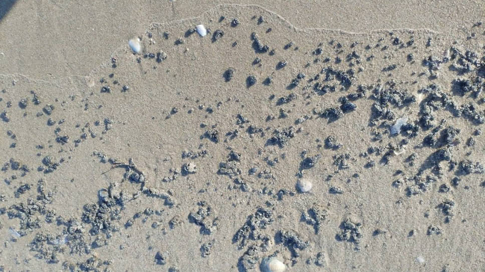 Фото: Оперативный штаб Краснодарского края