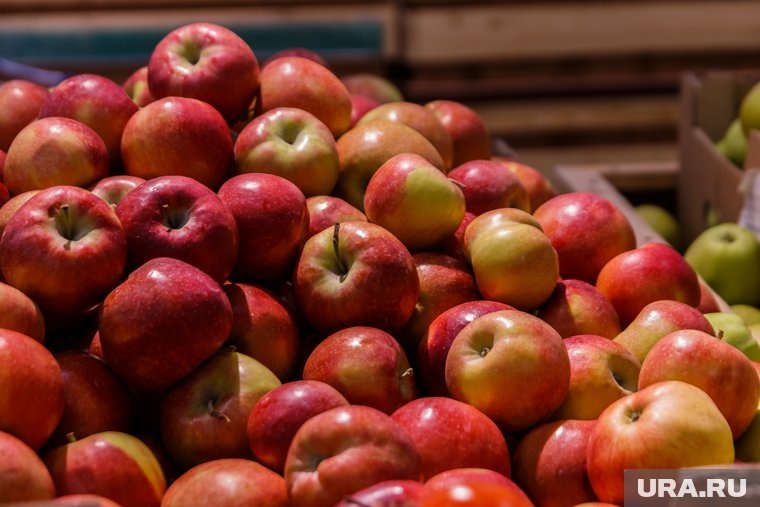    Яблоки – одни из самых доступных и популярных фруктов в России