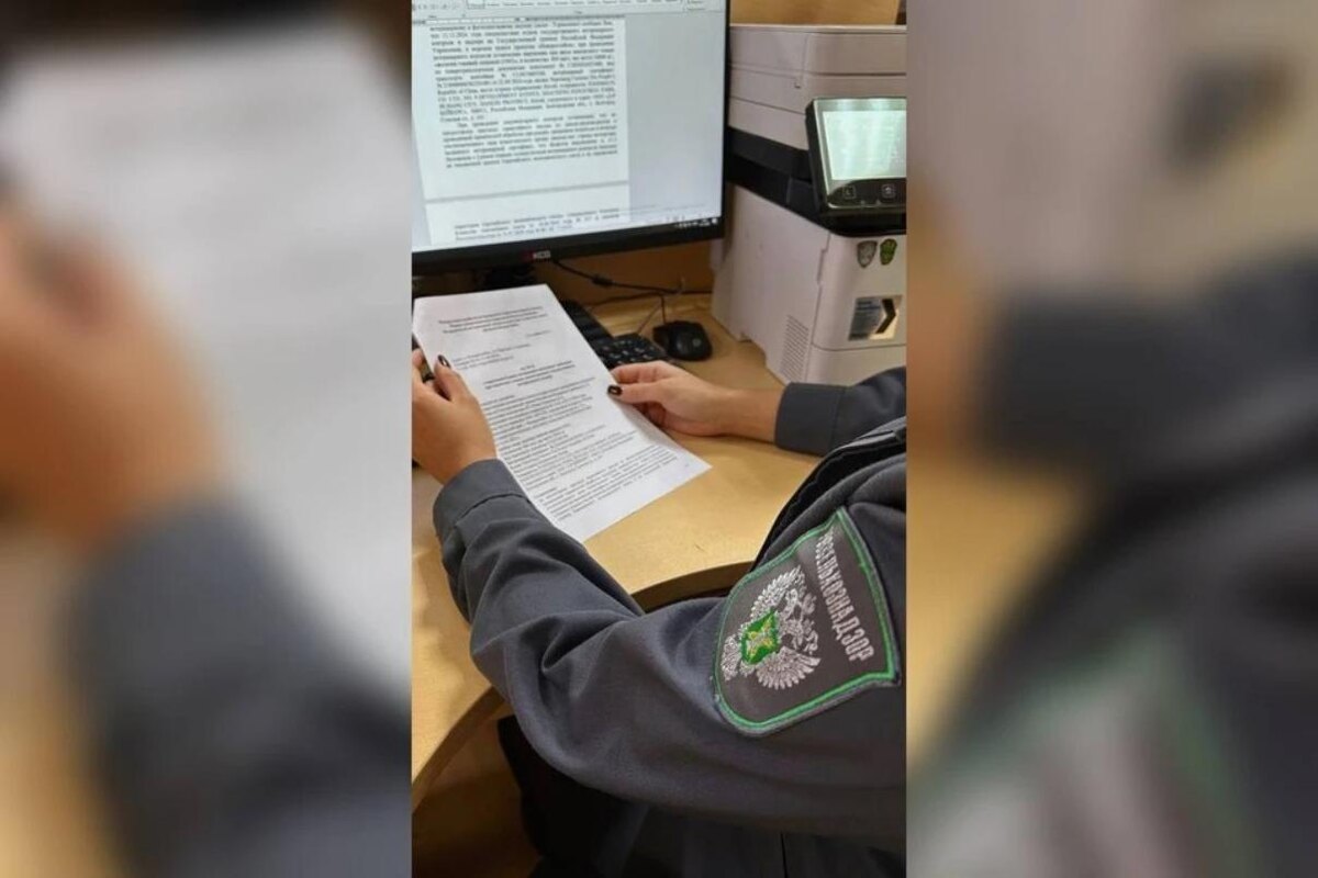 Фото: пресс-служба Южного межрегионального управления Россельхознадзора