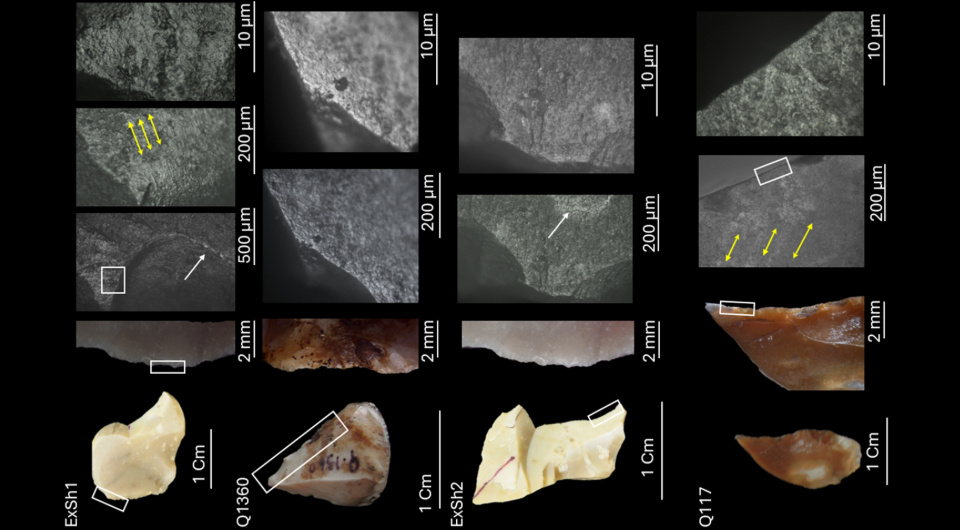   Trishia Gayle Palconit et al. / SSRN, 2025