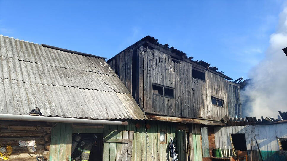 Фото: Пресс-служба ГУ МЧС по Удмуртии