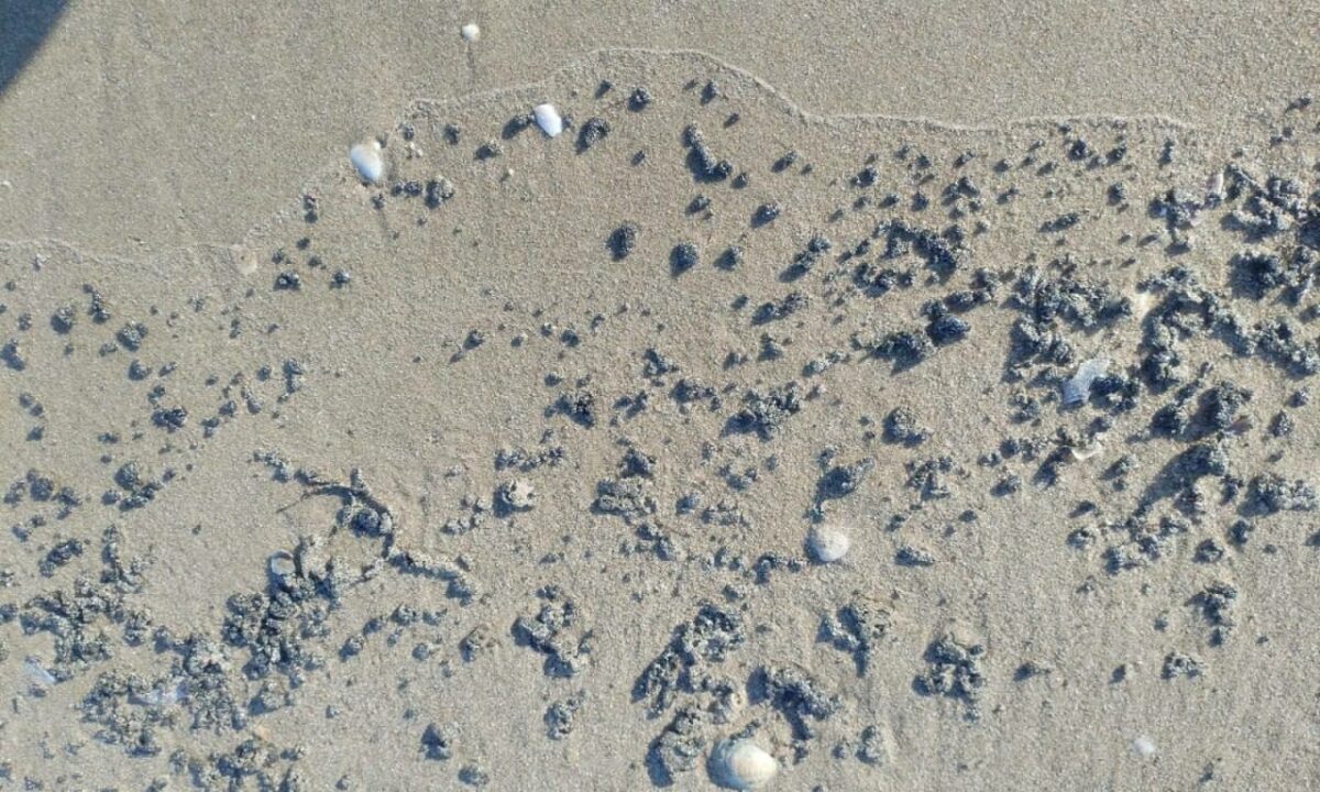    Фото t.me/opershtab23