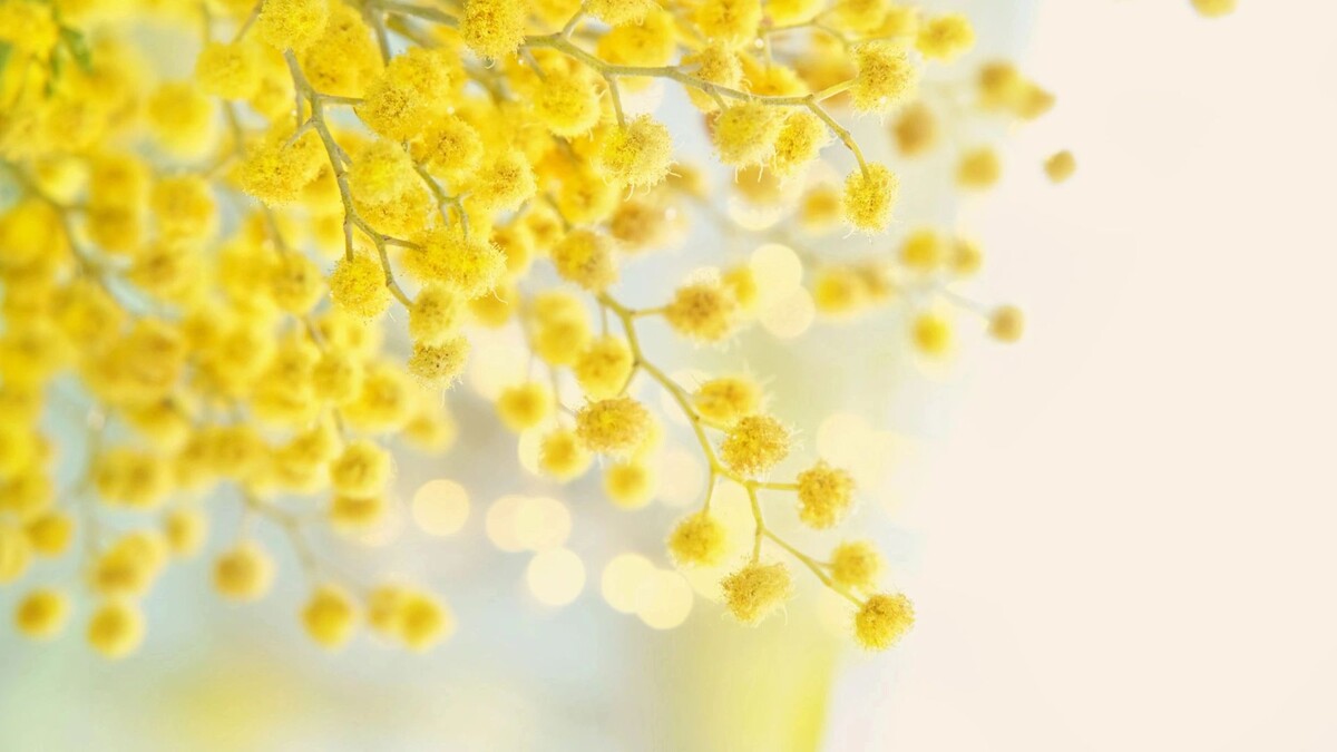    Фото: ju_see/Shutterstock/Fotodom