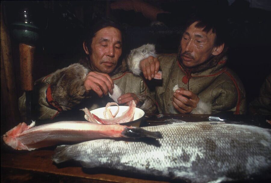 Фото из открытых источников 