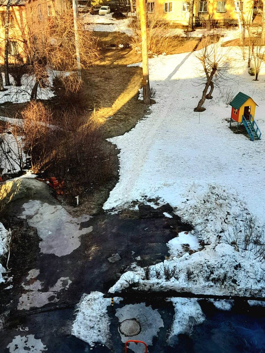 И в нашем "лесу" снег быстро уходит. Проталины растут на глазах.             Фото 19.03.2025
