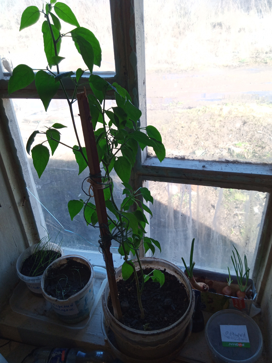 А это ещё не мыыыл. 😜