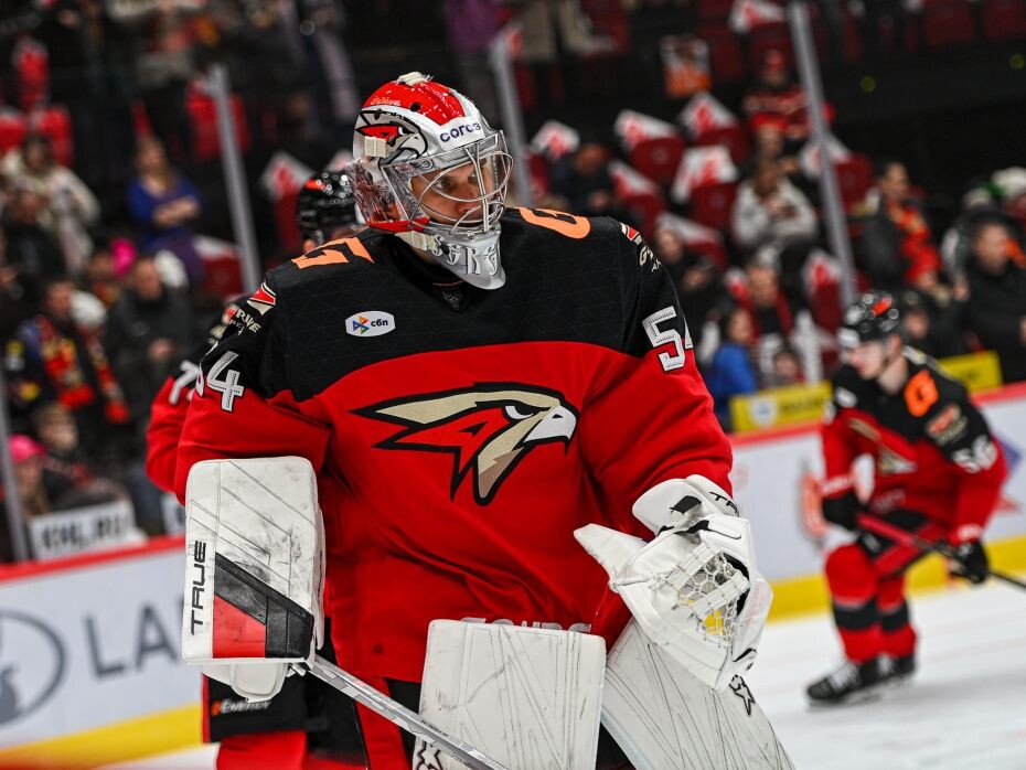    Фото: ХК "Авангард"