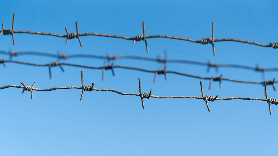 Фото: Игорь Елисеев / Коммерсантъ