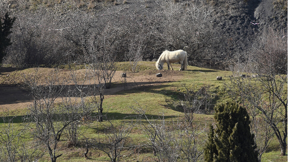 Фото: Виктор Коротаев / Коммерсантъ