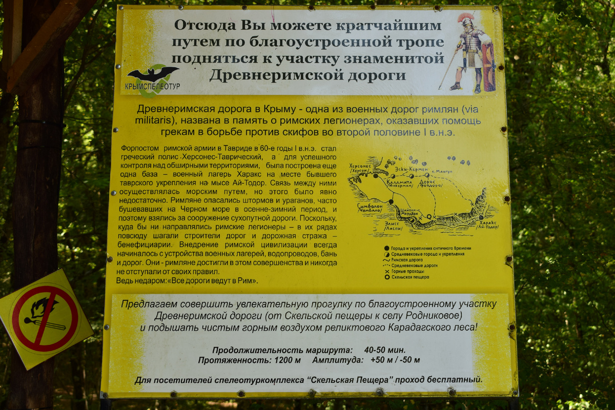 Фотография автора статьи. 