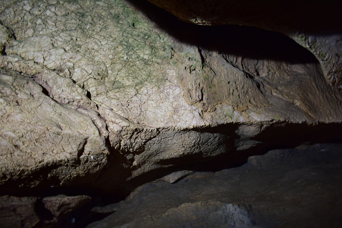 Скельская пещера. Фотография автора статьи. 