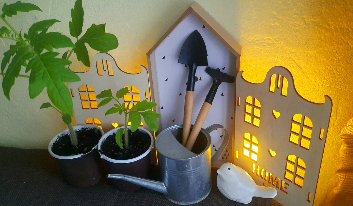 Фото автора.