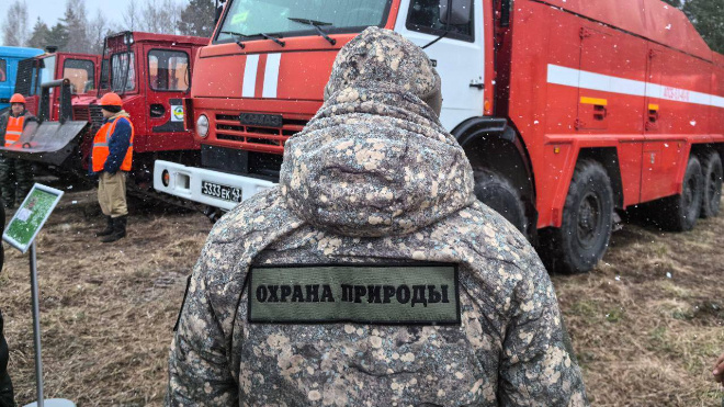 Фото: губернатор Ленинградской области Александр Дрозденко