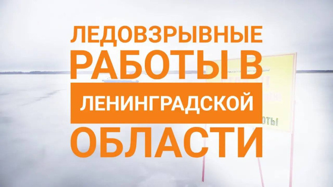 Фото: комитет правопорядка и безопасности Ленобласти