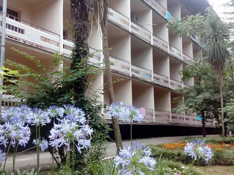 Источник фото: https://avatars.mds.yandex.net/i?id=e9bfeab48065aaf4dd7da1993ea76a4d_l-3752796-images-thumbs&n=13 