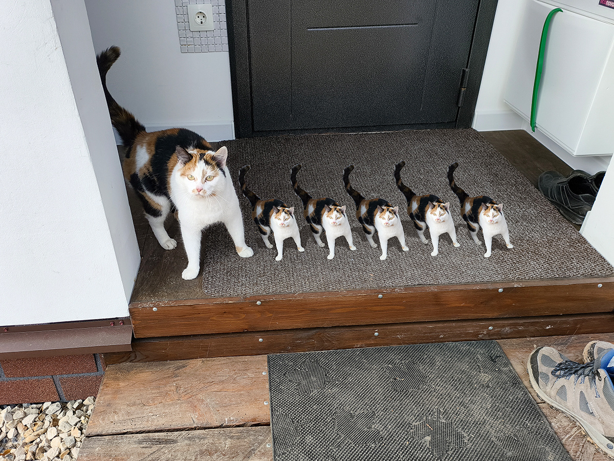 Страшный сценарий от моих некоторых Читателей.