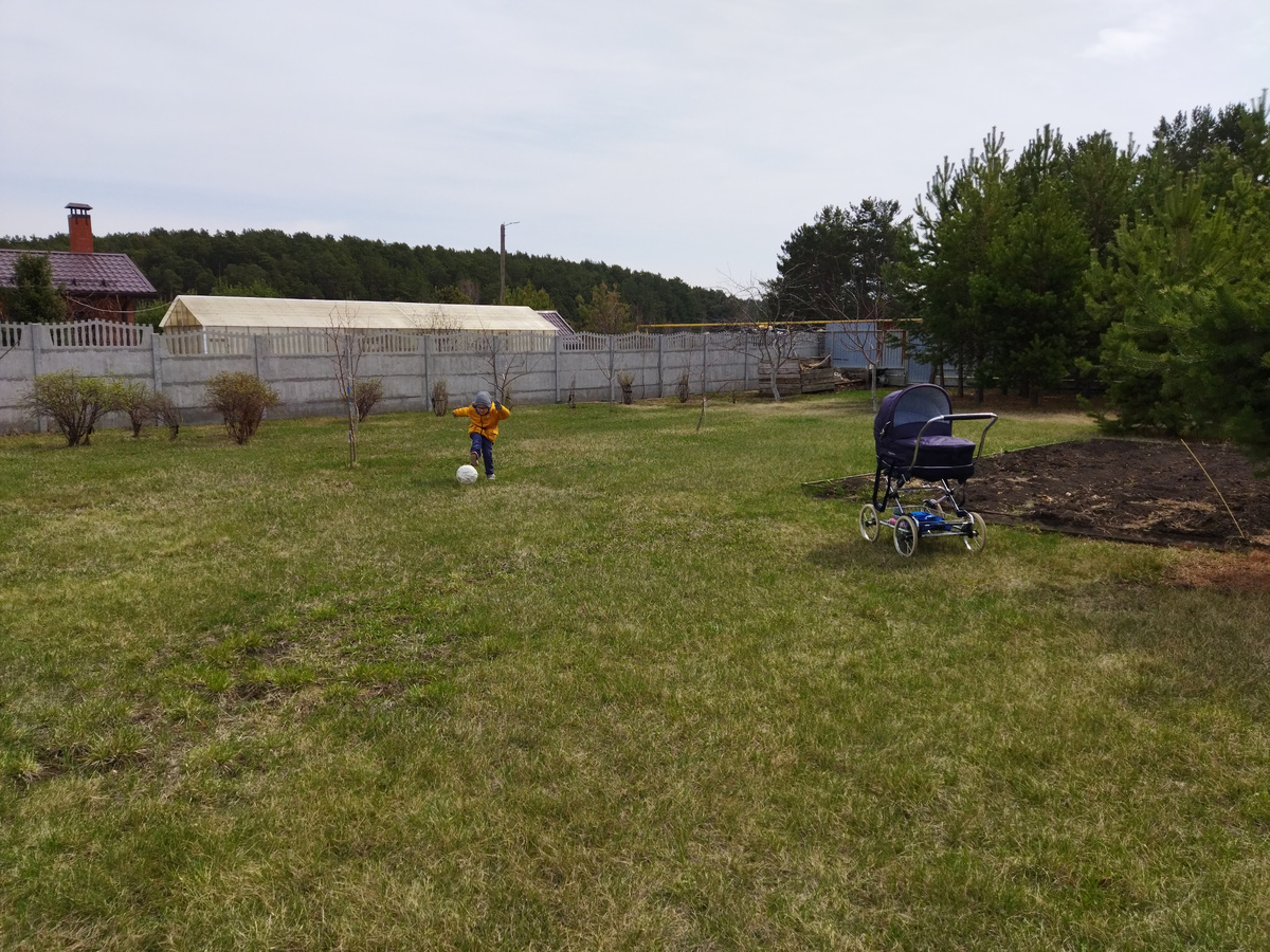 Чтобы обезопасить от клещей свой дачный участок, необходимо вовремя выкашивать траву и обрабатывать территорию специальными средствами.