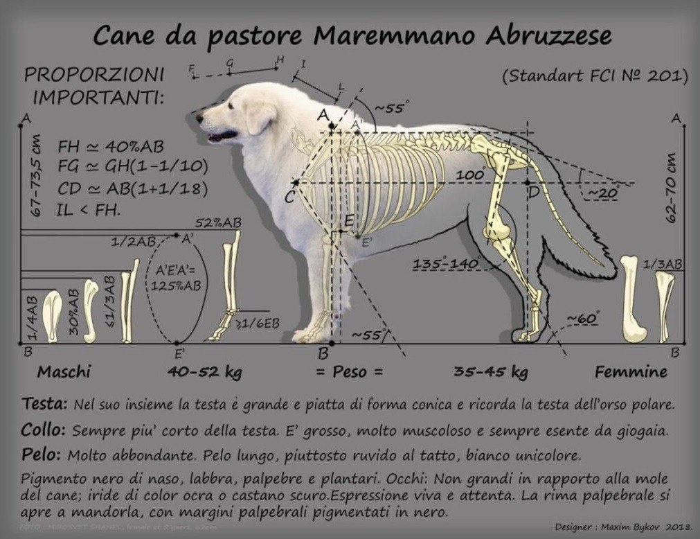 Спасибо большое итальянским коллегам, предоставившим информацию 