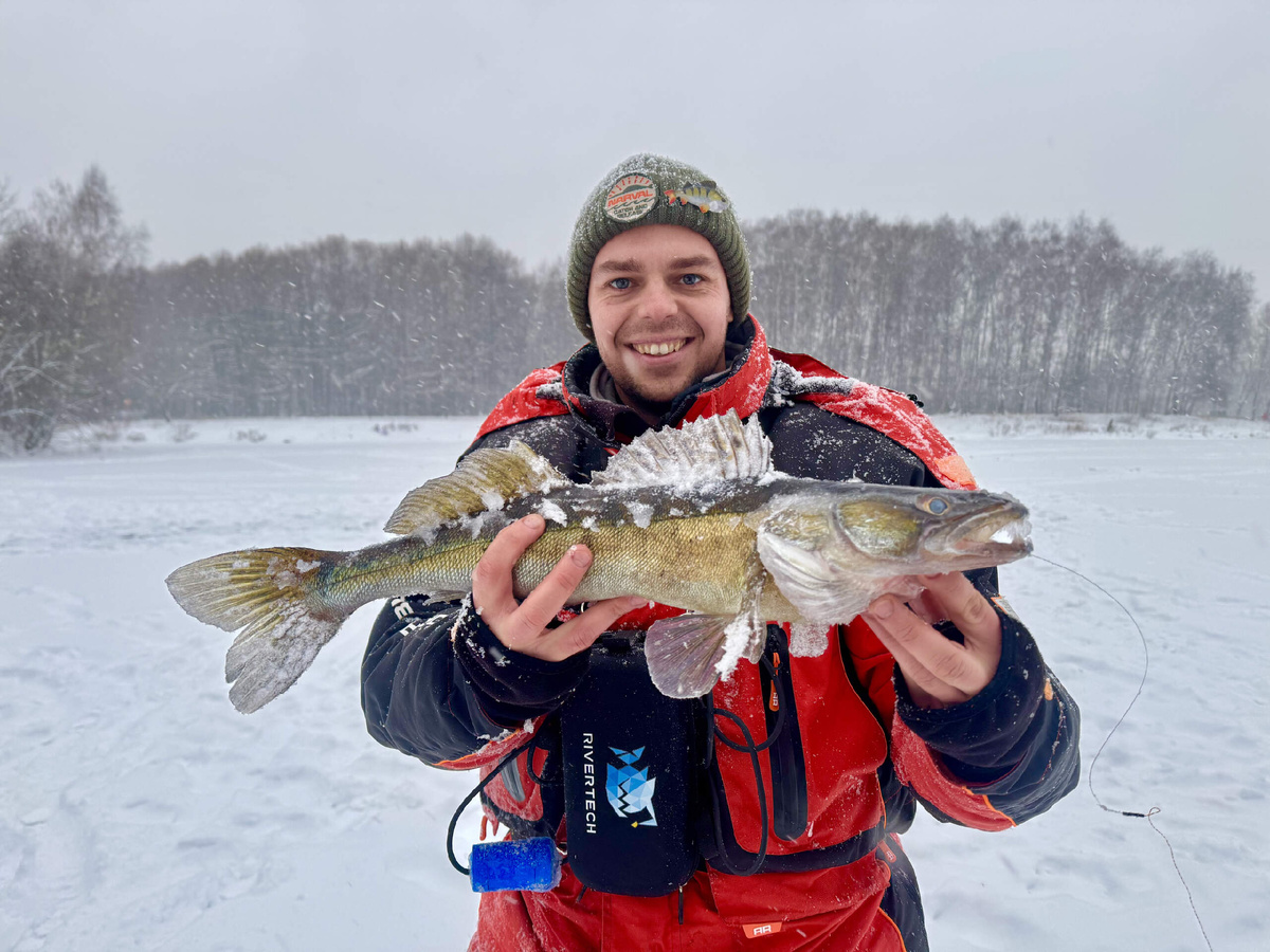 Ловля судака зимой