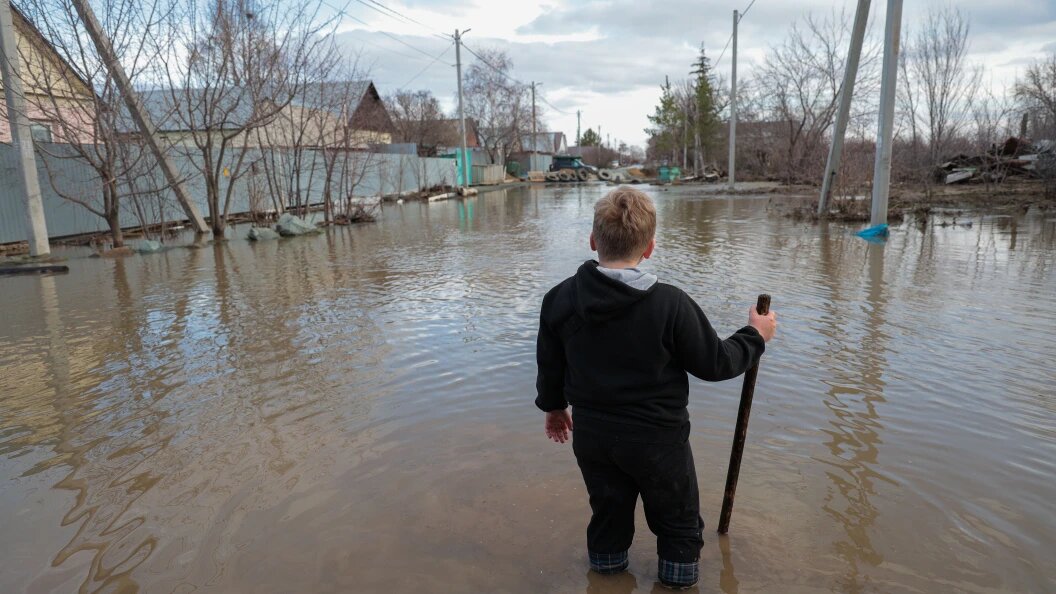    Фото: Andrey Titov/Business Online/Globallookpress