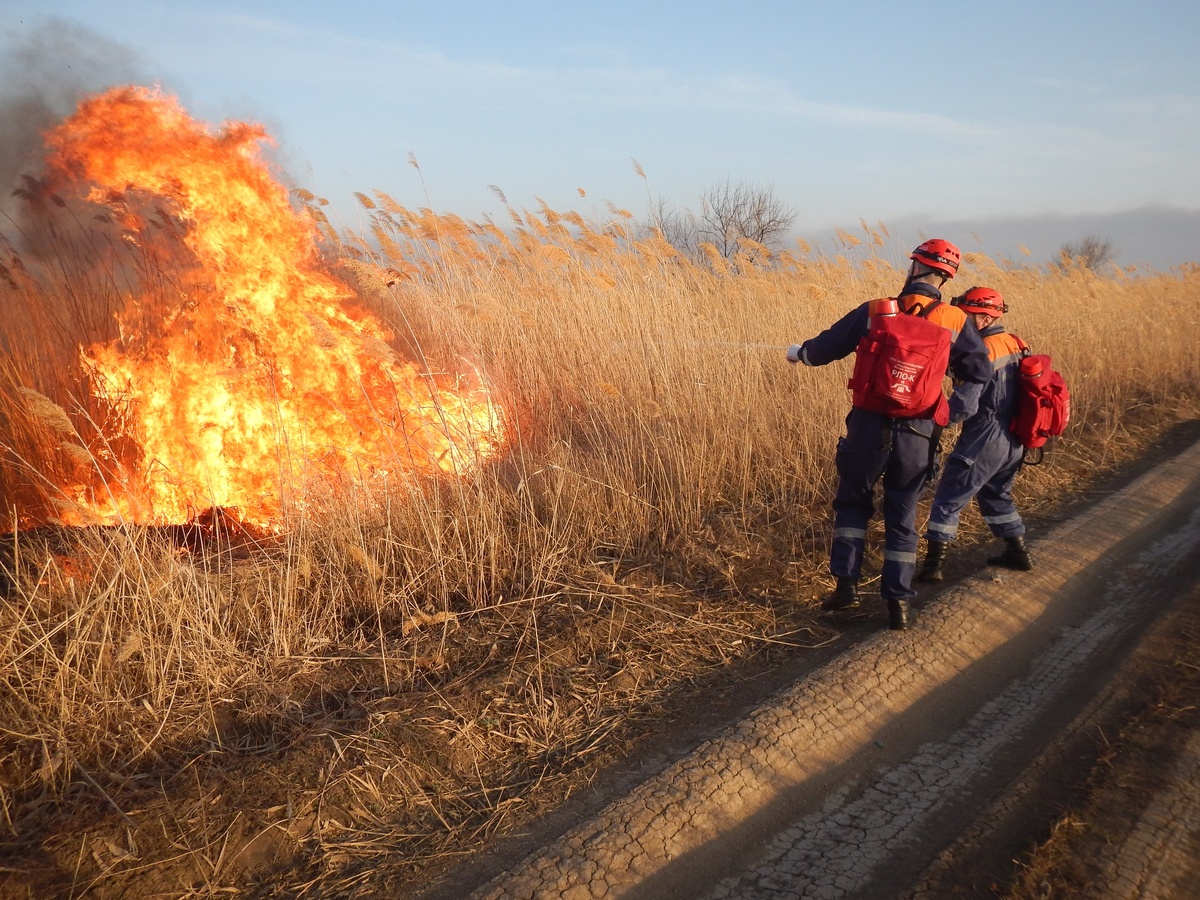 Фото: Telegram/Кубань-СПАС  📷
