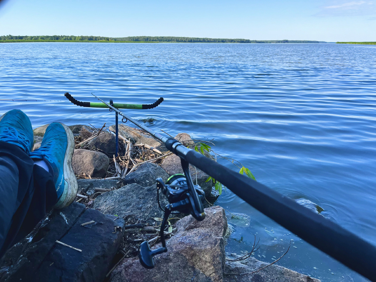 Фидерное удилище для ловли рыбы