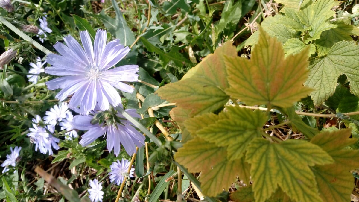 Фото автора.