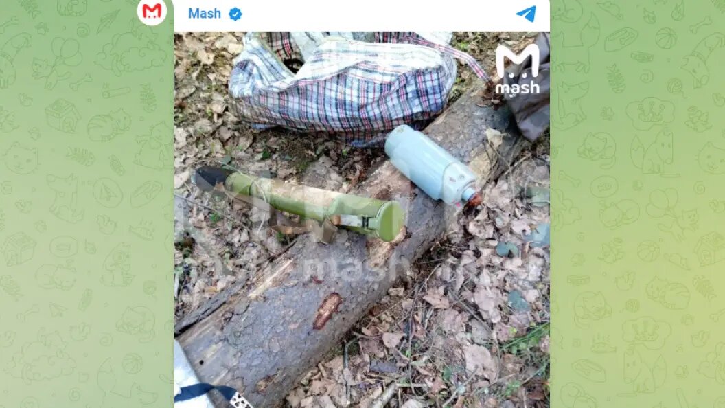    фото: тг-канал mash