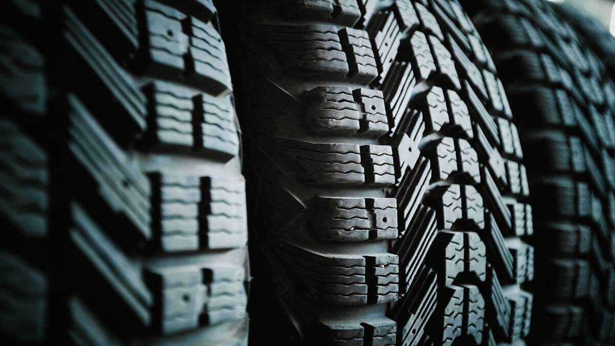    Фото: Shutterstock