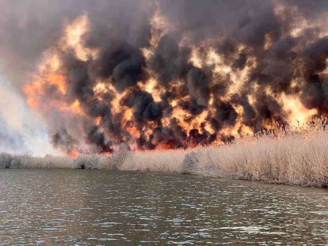 Фото: Астраханский заповедник.