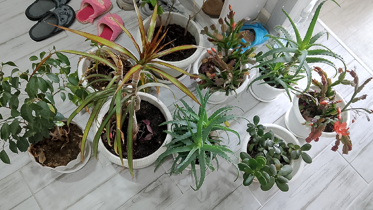 Фото личное.